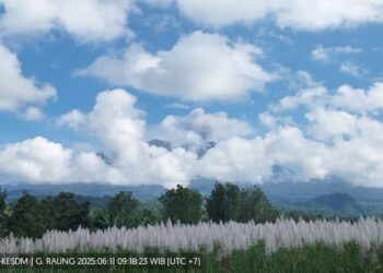 Gunung Raung erupsi