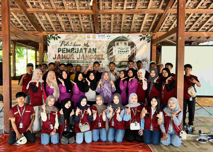 Pelatihan budidaya jamur janggel di Desa Bareng