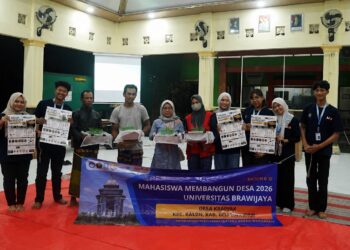 Budidaya maggot