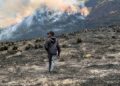 kebakaran Bromo