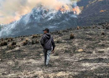 kebakaran Bromo